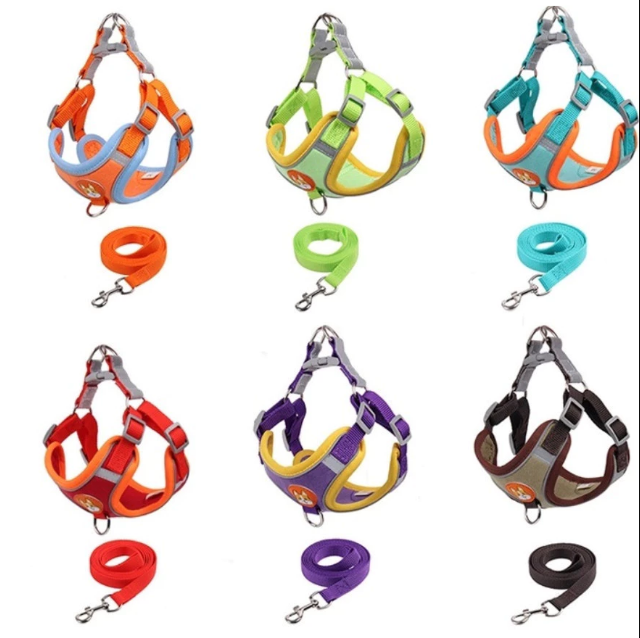 Coleira Peitoral Cachorro E Gato, Conjunto De Guia + Coleira Tipo Colete Para Pet Pequenos E Médios
