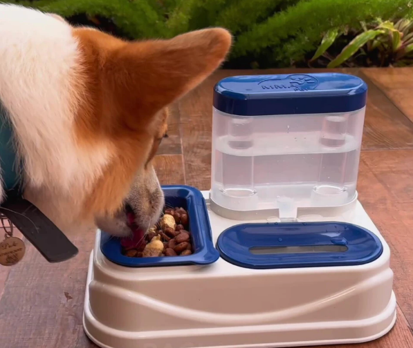 Comedouro e Bebedouro PELOS CURTOS E LONGOS SOLUTION MMA PET Para cães e Gatos